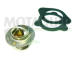 Termostat, chladivo MOTAQUIP VTK18