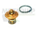 Termostat, chladivo MOTAQUIP VTK19