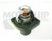Termostat, chladivo MOTAQUIP VTK46