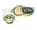 Termostat, chladivo MOTAQUIP VTK4