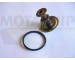 Termostat, chladivo MOTAQUIP VTK59