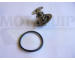 Termostat, chladivo MOTAQUIP VTK60