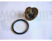 Termostat, chladivo MOTAQUIP VTK62