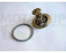Termostat, chladivo MOTAQUIP VTK92