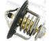 Termostat, chladivo FEBEST 03462-002