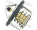 Termostat, chladivo FEBEST 07462-001