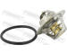 Termostat, chladivo FEBEST 23462-005