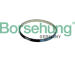 Klínový řemen Borsehung B10234