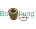 Olejový filter Borsehung B10469