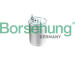 Palivový filtr Borsehung B10477