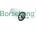 Palivový filtr Borsehung B10478