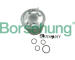Palivový filtr Borsehung B10492