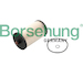 palivovy filtr Borsehung B10522