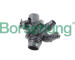 Termostat, chladivo Borsehung B10561