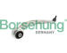 Řídicí páka, zavěšení kol Borsehung B10844