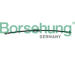 Brzdová hadice Borsehung B10953