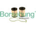 Palivový filtr Borsehung B12200