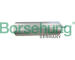Palivový filtr Borsehung B12358