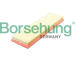 Vzduchový filtr Borsehung B12428