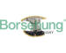 Napínač, rozvodový řetěz Borsehung B12761