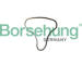 Rozvodový řetez Borsehung B12766