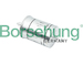 palivovy filtr Borsehung B12825