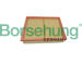 Vzduchový filter Borsehung B13059