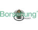 Termostat, chladivo Borsehung B18244
