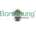 Termostat, chladivo Borsehung B18245