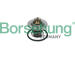 Termostat, chladivo Borsehung B18246