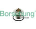 Termostat, chladivo Borsehung B18256