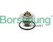 Termostat, chladivo Borsehung B18258