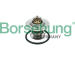 Termostat, chladivo Borsehung B18260