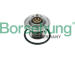 Termostat, chladivo Borsehung B18265