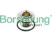 Termostat, chladivo Borsehung B18268