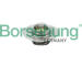Termostat chladenia Borsehung B18280