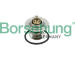 Termostat, chladivo Borsehung B18281