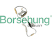 Sada rozvodového řetězu Borsehung B18845