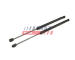 Pneumaticka pruzina, zavazadlovy / nakladovy prostor FAST FT00203K