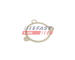 Tesneni, AGR ventil FAST FT50605