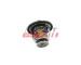 Termostat, chladivo FAST FT58033
