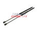 Pneumaticka pruzina, zavazadlovy / nakladovy prostor FAST FT94828K