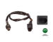 Lambda sonda NTK 95793