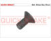 Sroub, brzdovy kotouc QUICK BRAKE 11665