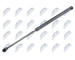 Pneumaticka pruzina, zavazadlovy / nakladovy prostor NTY AE-DW-013
