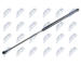 Pneumaticka pruzina, zavazadlovy / nakladovy prostor NTY AE-FR-003