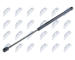 Pneumaticka pruzina, zavazadlovy / nakladovy prostor NTY AE-FR-014