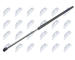 Pneumaticka pruzina, zavazadlovy / nakladovy prostor NTY AE-FR-050