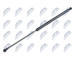 Pneumaticka pruzina, zavazadlovy / nakladovy prostor NTY AE-FT-003