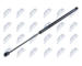 Pneumaticka pruzina, zavazadlovy / nakladovy prostor NTY AE-PL-008